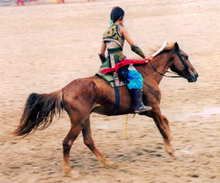 Koń